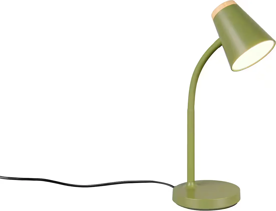 REALITY LEUCHTEN PONGO LED Tischleuchte 4,5W warmweiß Kippschalter