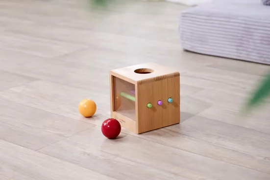EICHHORN Montessori Lernspielzeug Box mit Kugeln