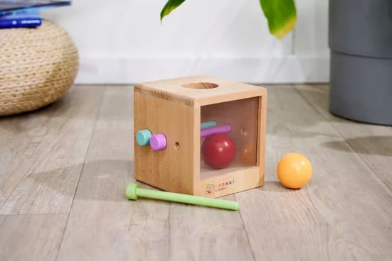 EICHHORN Montessori Lernspielzeug Box mit Kugeln